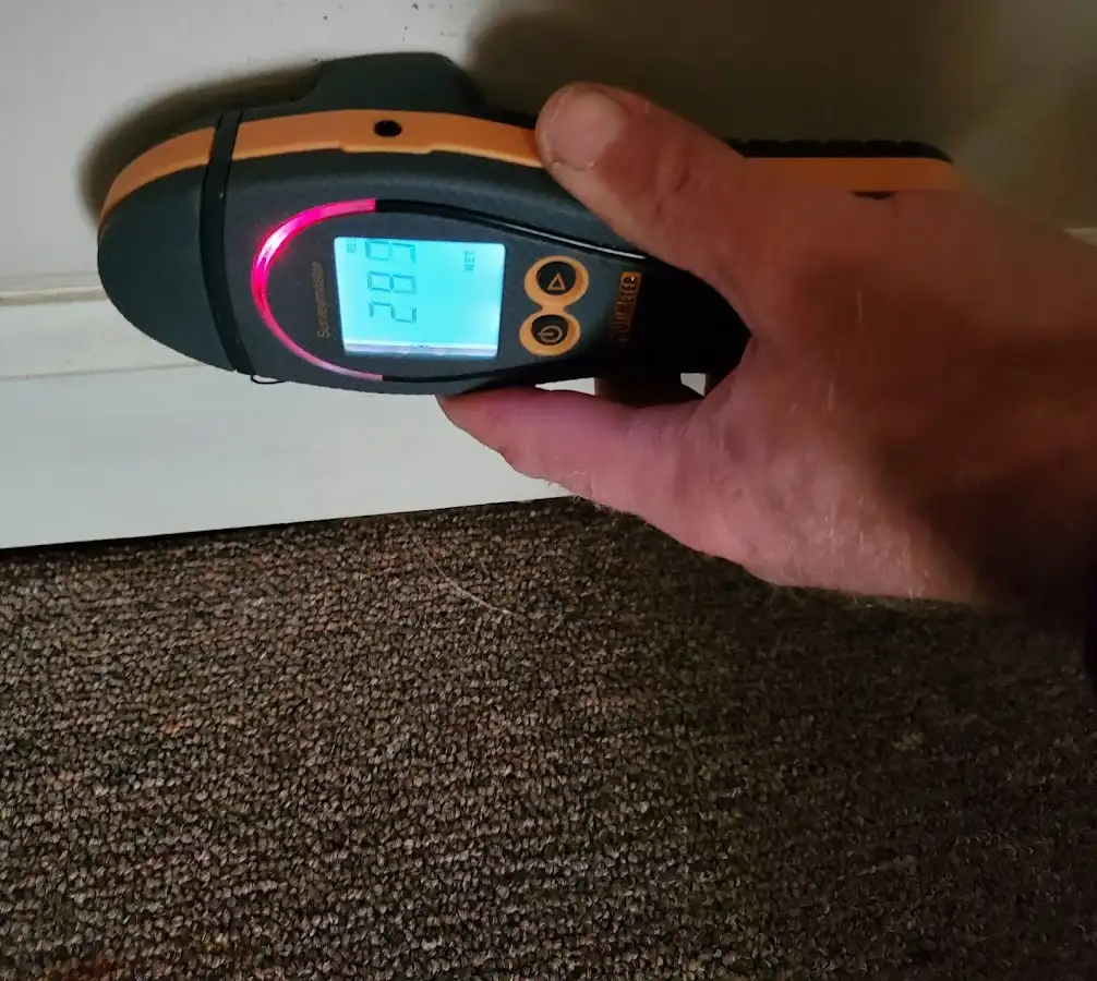 Moisture detection at baseboard during Burst Pipe Cleanup in Waipahu